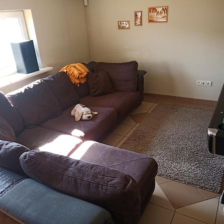Vilnius Cat Friendly Apartment Ngoại thất bức ảnh