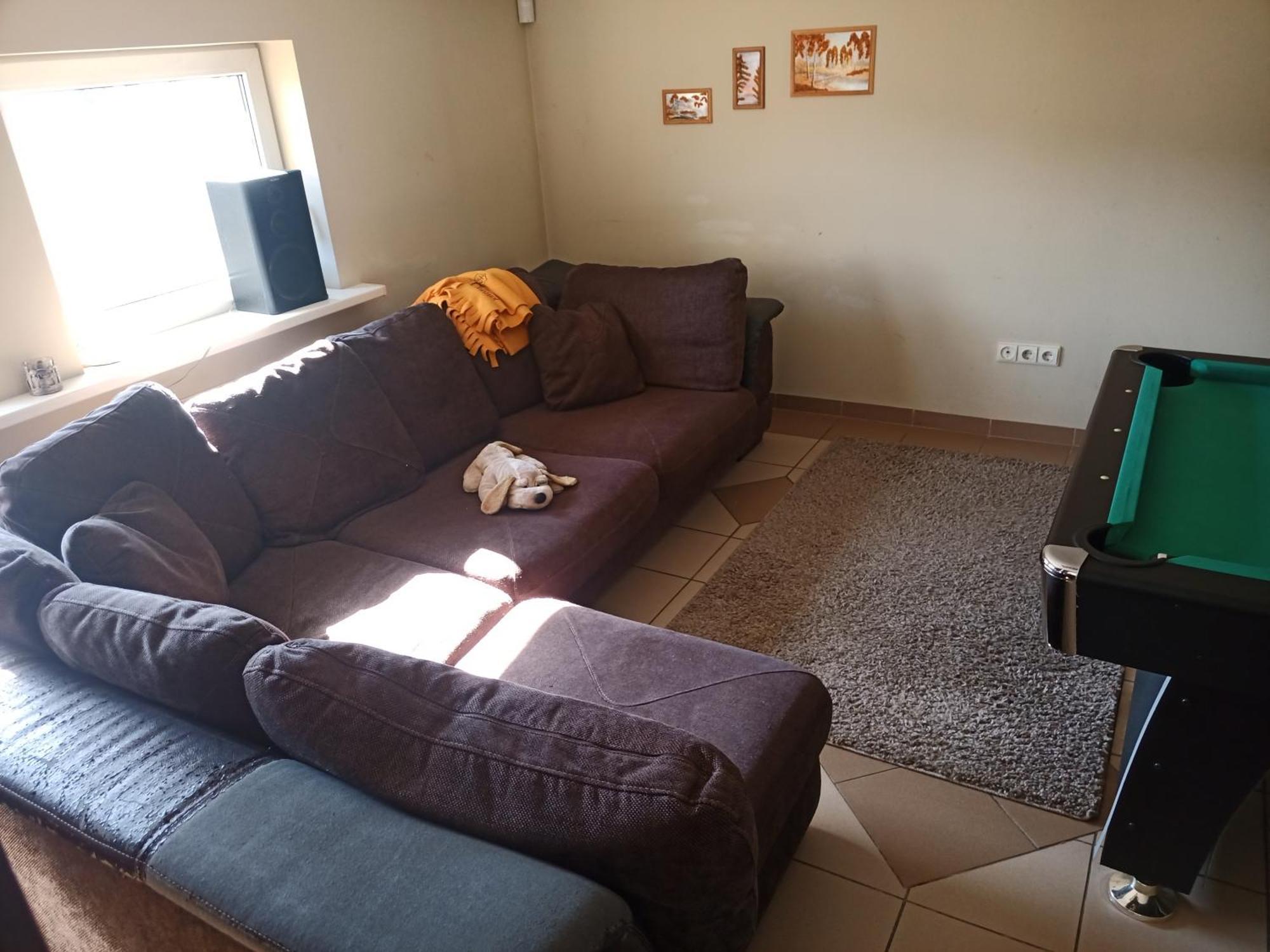 Vilnius Cat Friendly Apartment Ngoại thất bức ảnh